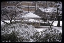 Snow Day on Campus